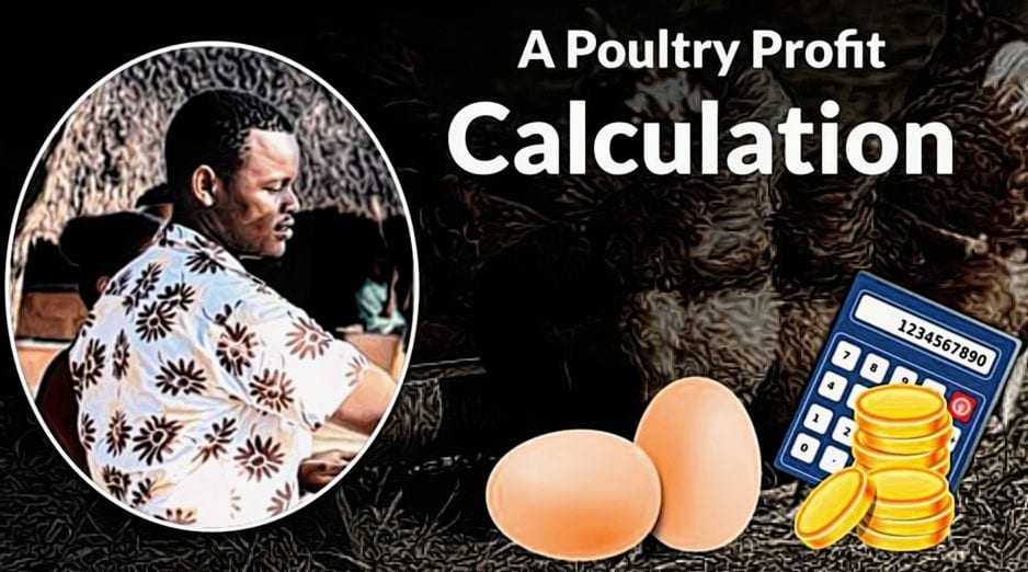 Fredrick Poultry farming Profit Calcaultion Image
