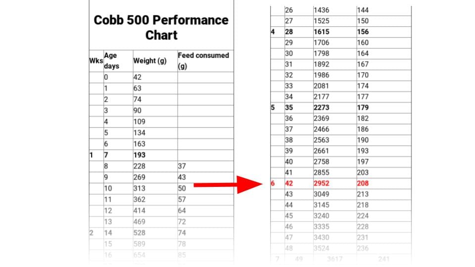 Cobb 500 Performance Chart