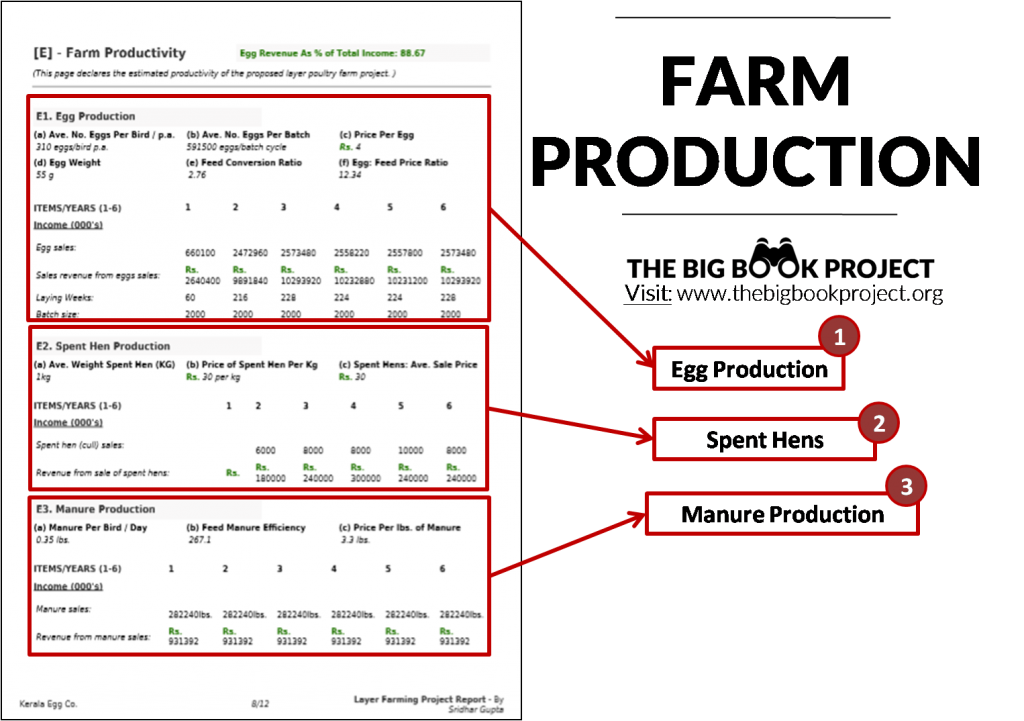 how to plan egg production on a 10,000 bird layer poultry farm (example)