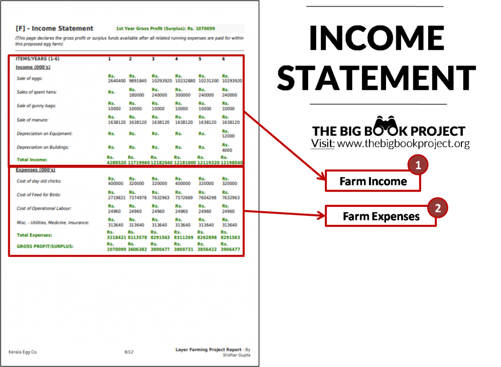 sample income statement for layer poultry farming project report