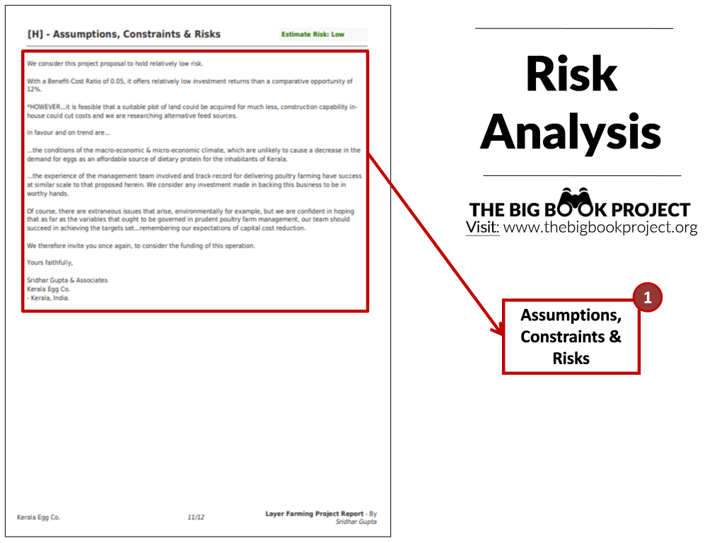 Risk analysis of a layer poultry farm