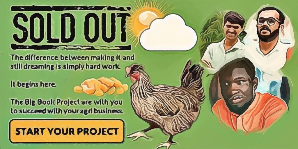 How To Start A Poultry Farm - SOLD OUT