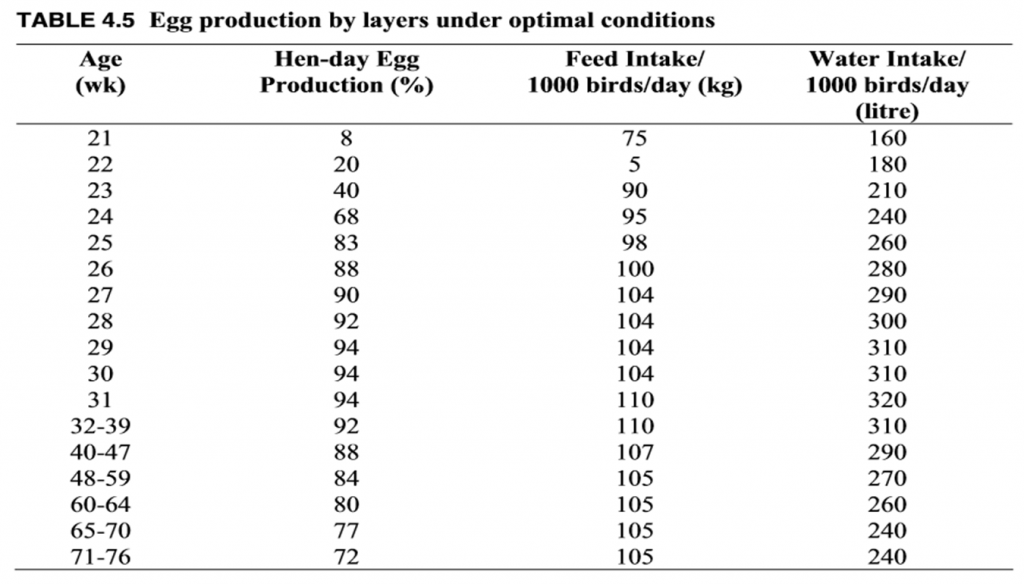 Layer Bird Feed Cost 210+ Best Quality File