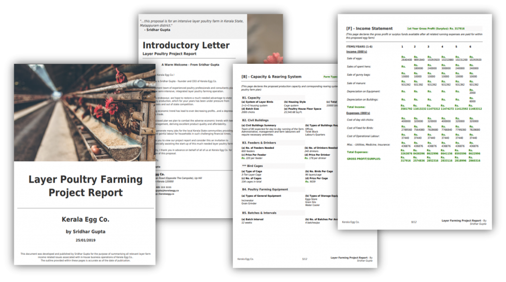 poultry farming project report