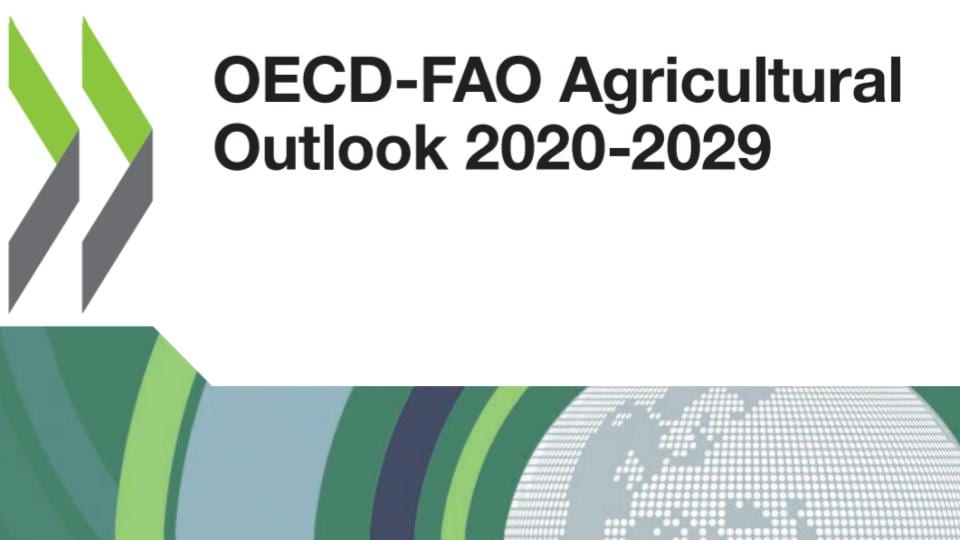 OECD - FAO Agricultural Outlook 2020-2029 Front Cover Logo