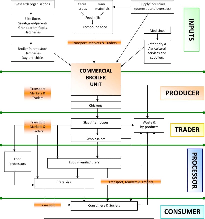 Poultry Value Chain Simple