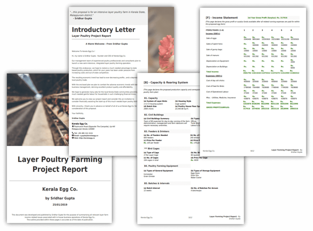 start up business plan for poultry farm