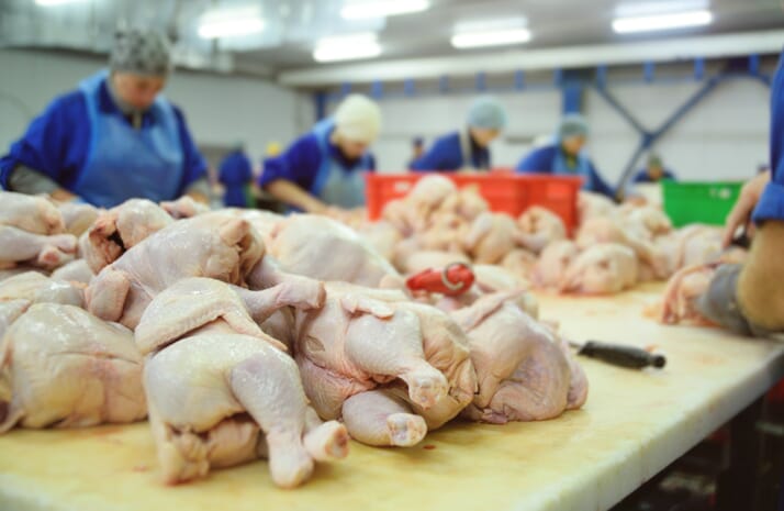 Poultry Processing Photo Brazil