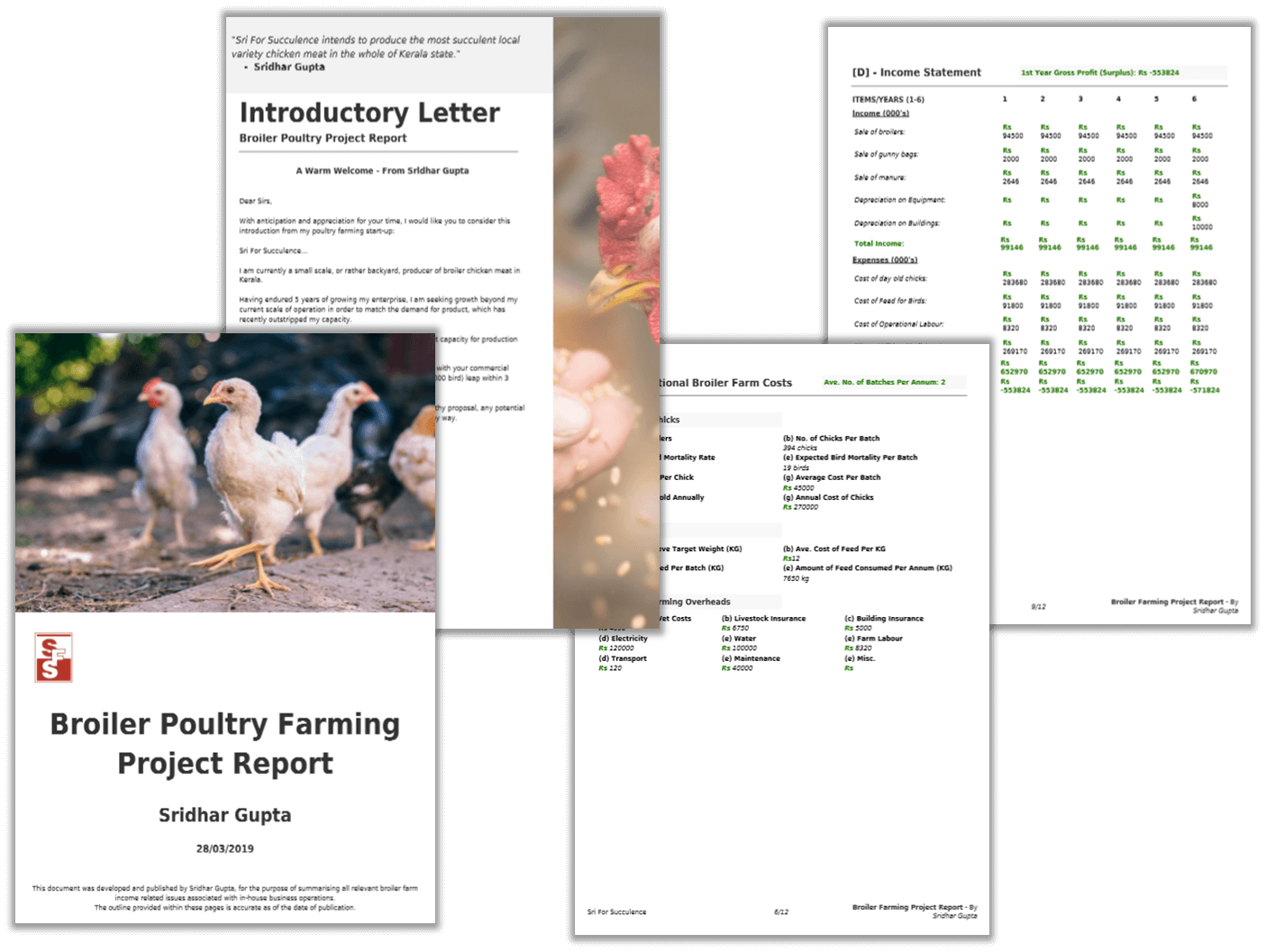 Broiler Farming Project Report PDF