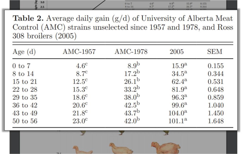 Average daily weight increase of a broiler bird