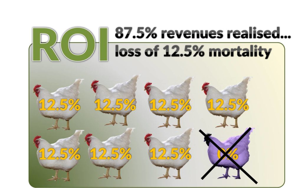 New Farmer's Guide to the Commercial Broiler Industry: Farm Types