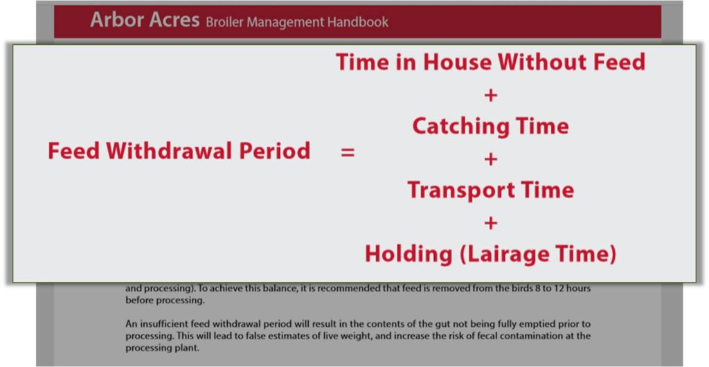 Broiler feed withdrawal period