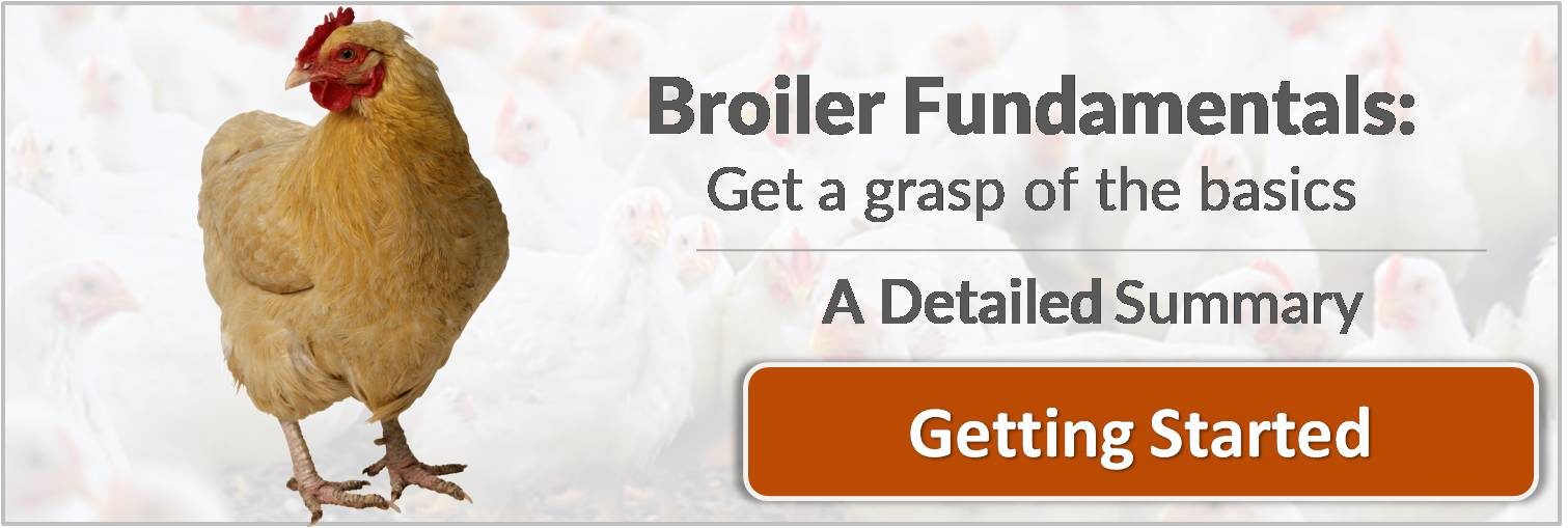 broiler fundamentals