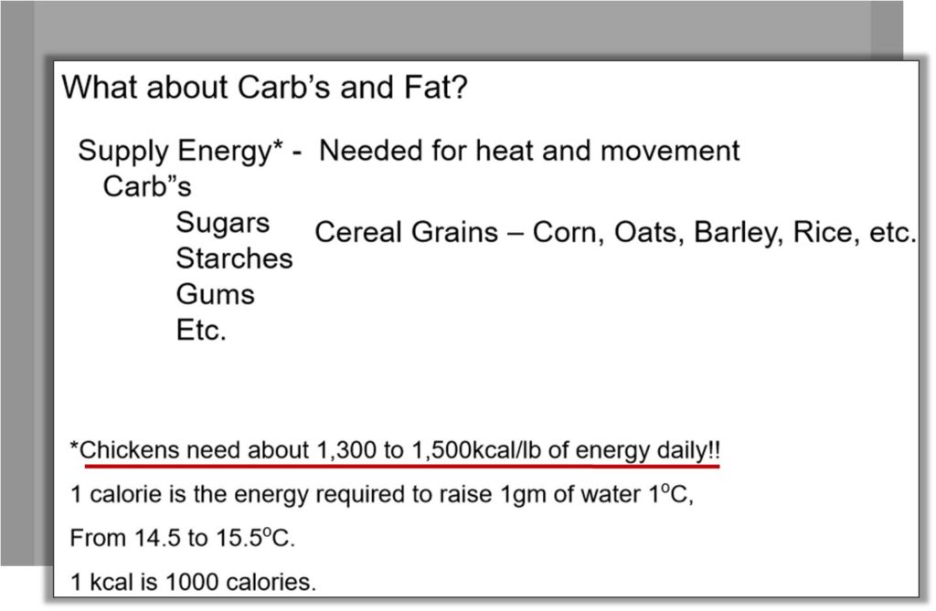 carbohydrates and fats for energy in broiler growth