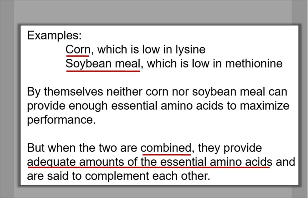 Corn and soy meal as a source of essential amino acids for broilers