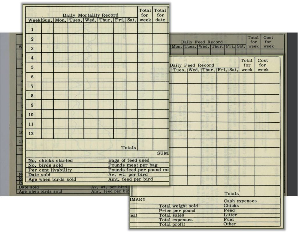 Daily broiler farm record log