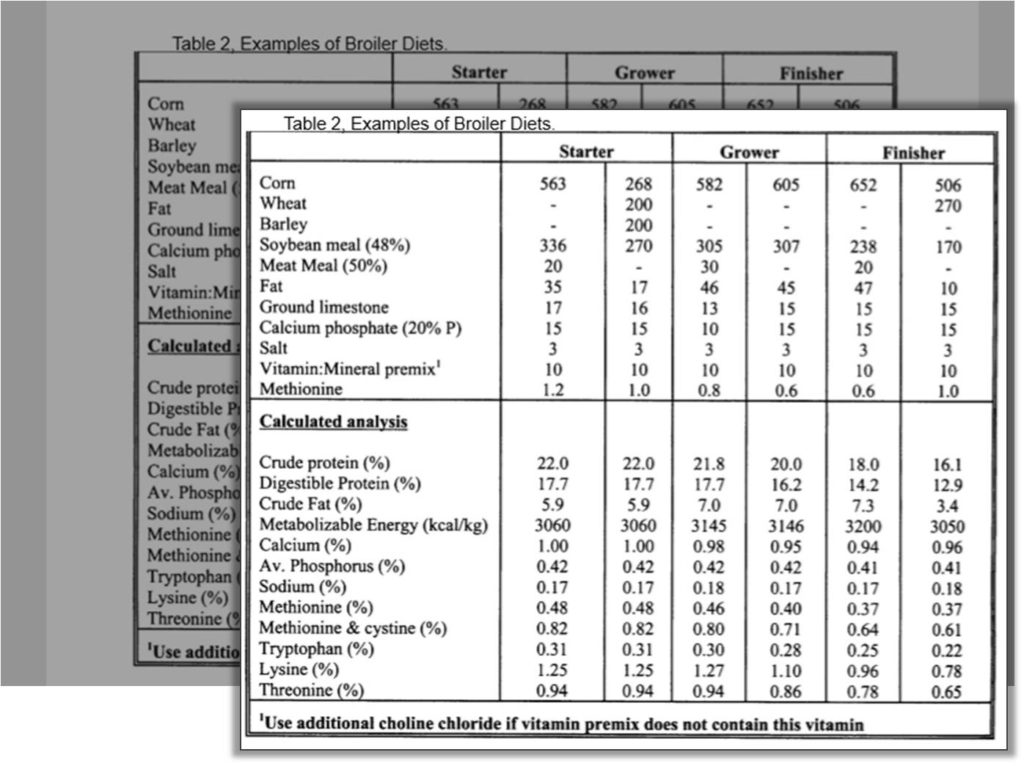 example broiler diet