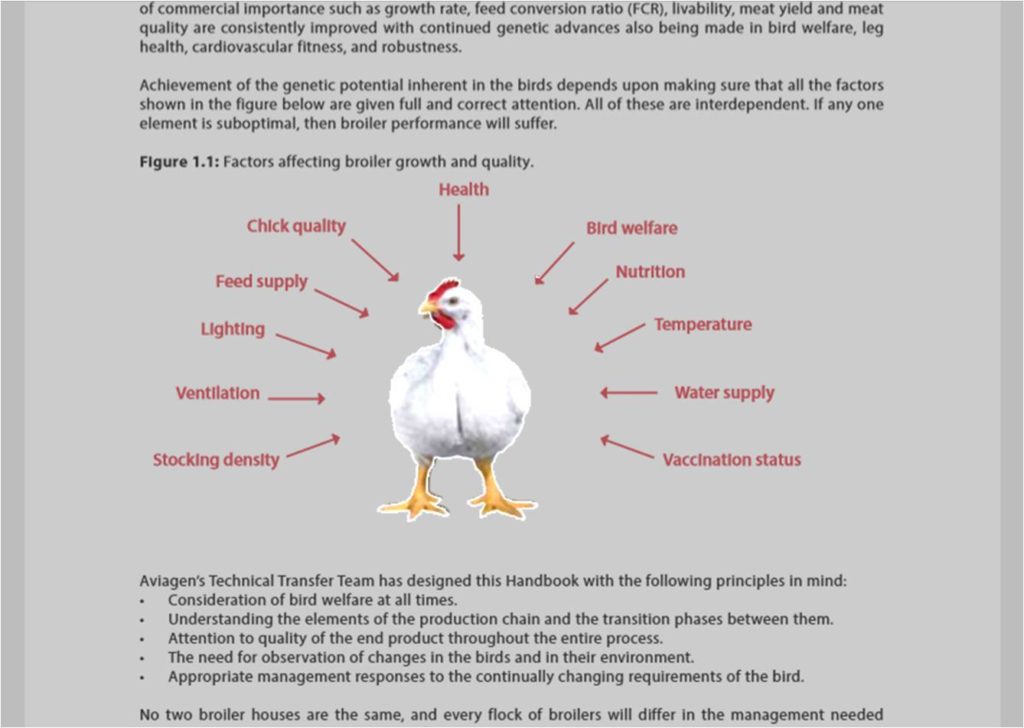 factors affecting broiler growth and quality insert