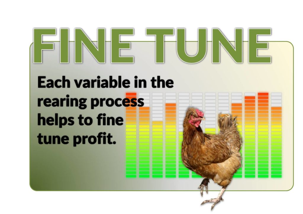 fine tuning poultry profits