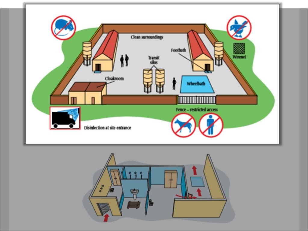 planning layer farm layout