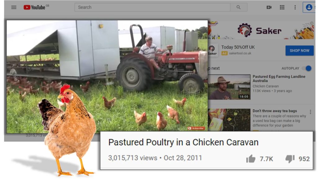 Pasteured Poultry in a Chicken Caravan