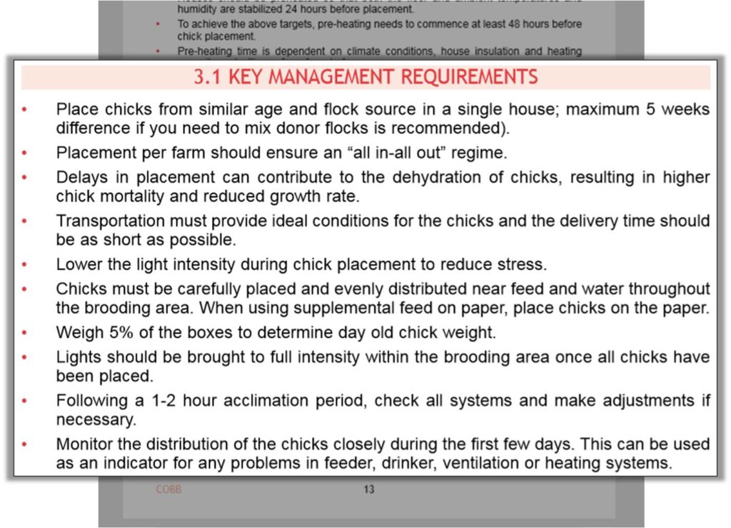 Preparation for receiving new batch of broiler chicks