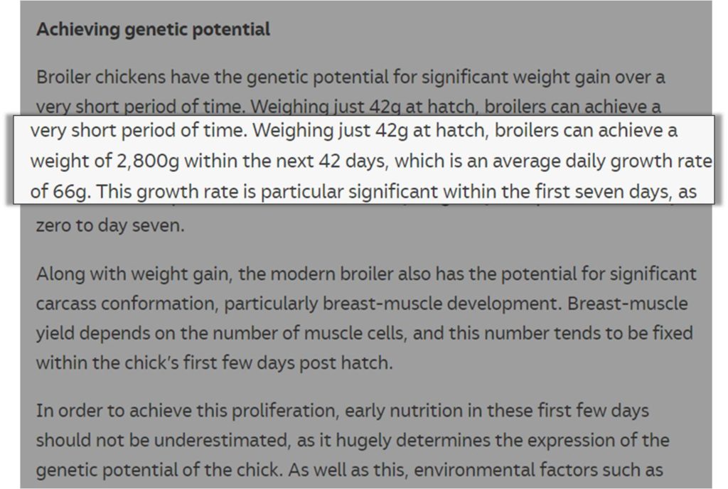 weight comparison broiler chick to broiler at marketable age