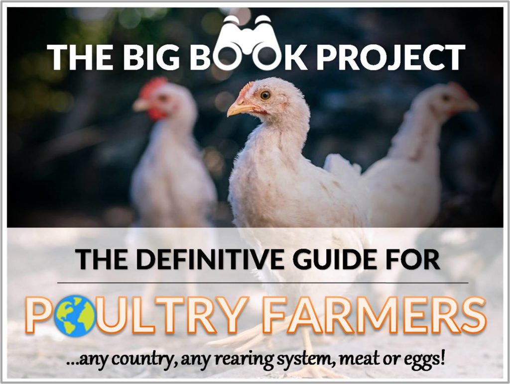 poultry farm business plan in andhra pradesh