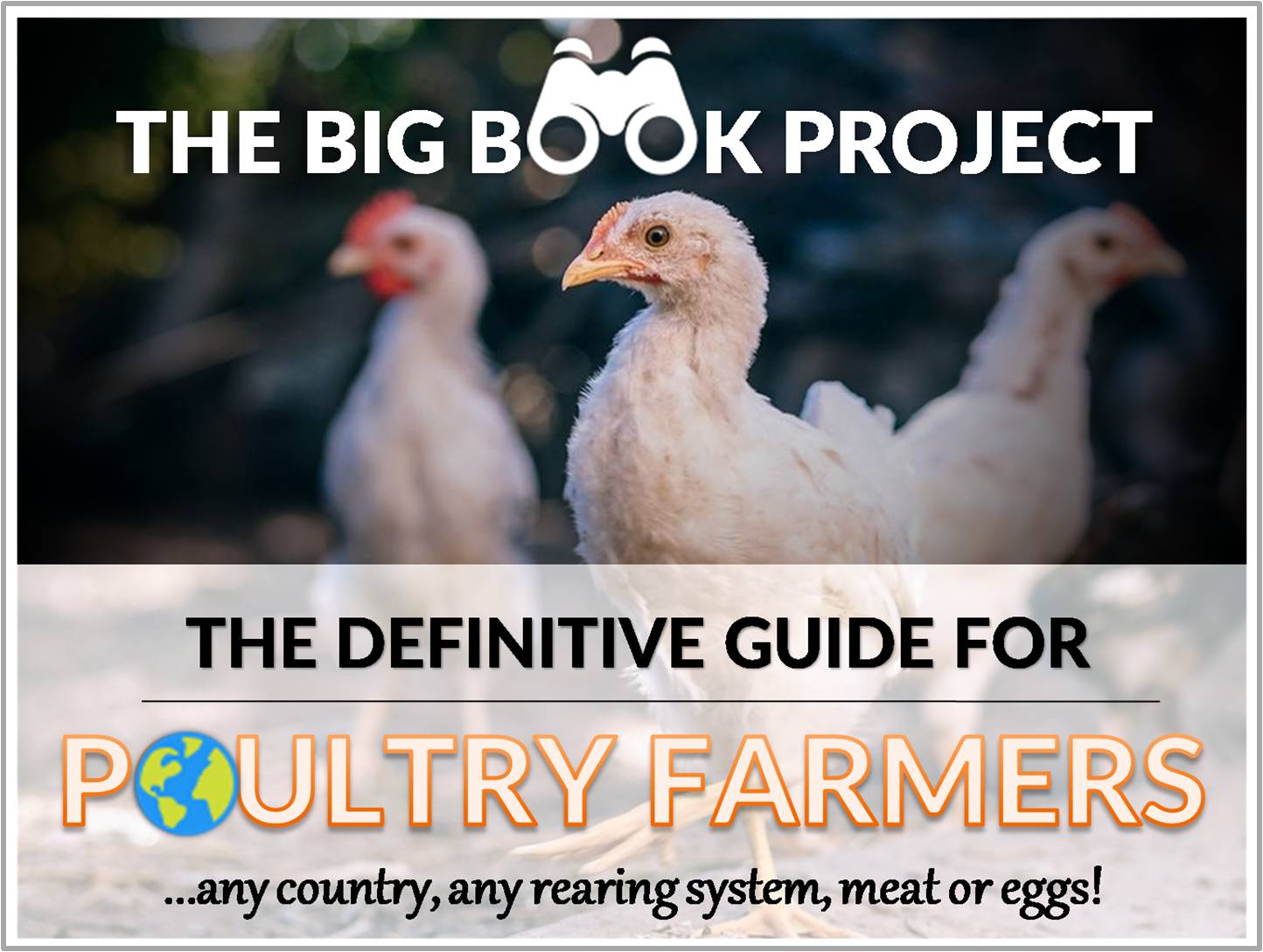 literature review on poultry farming pdf