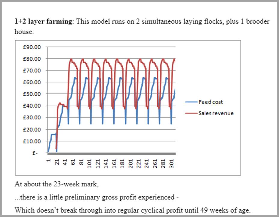 Layer Farming Production Intervals