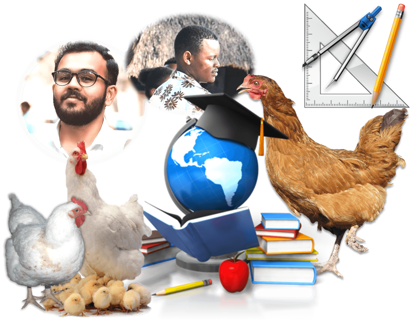 Learn Poultry Farming