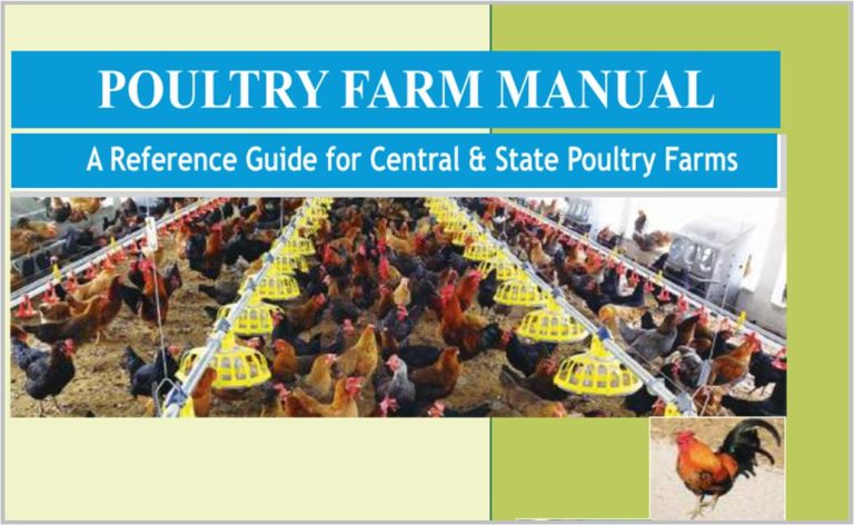 poultry farm management pdf poultry farm management pdf