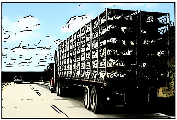 Poultry truck cartoonized