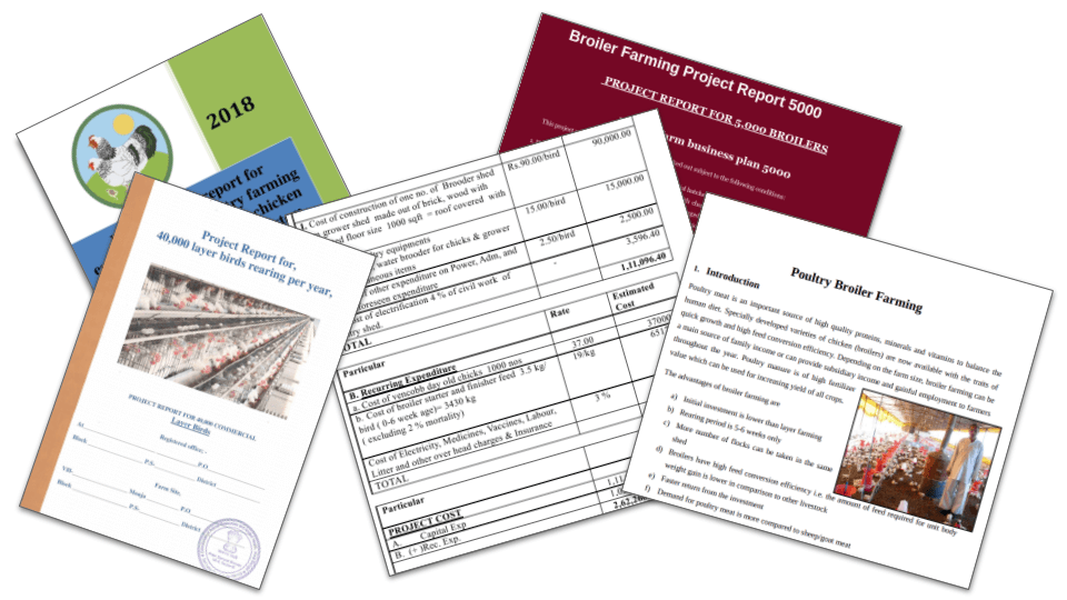 poultry farm business plan example