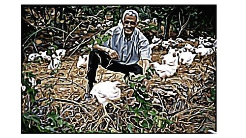 Poultry Farmer