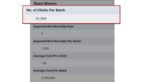 Batch Size in Poultry Farm Project Report