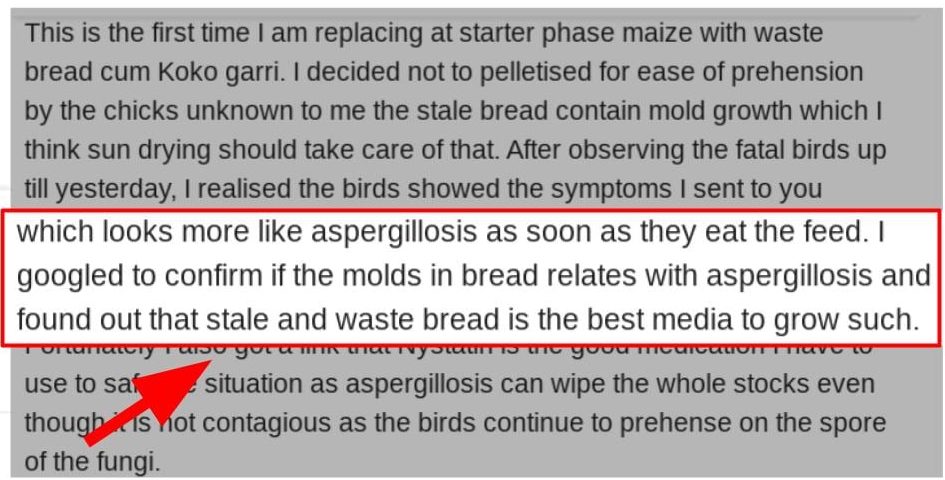 Bread Mould and Aspergillosis