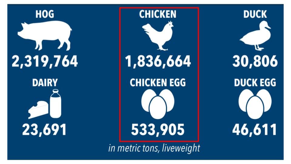 native chicken farming business plan