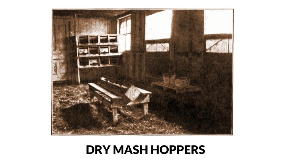 Wooden Layer Dry Mash Hopper Photo