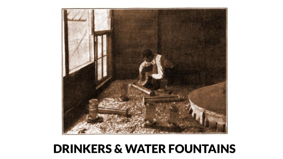 Man filling trough feeder and water fountains for brooder house