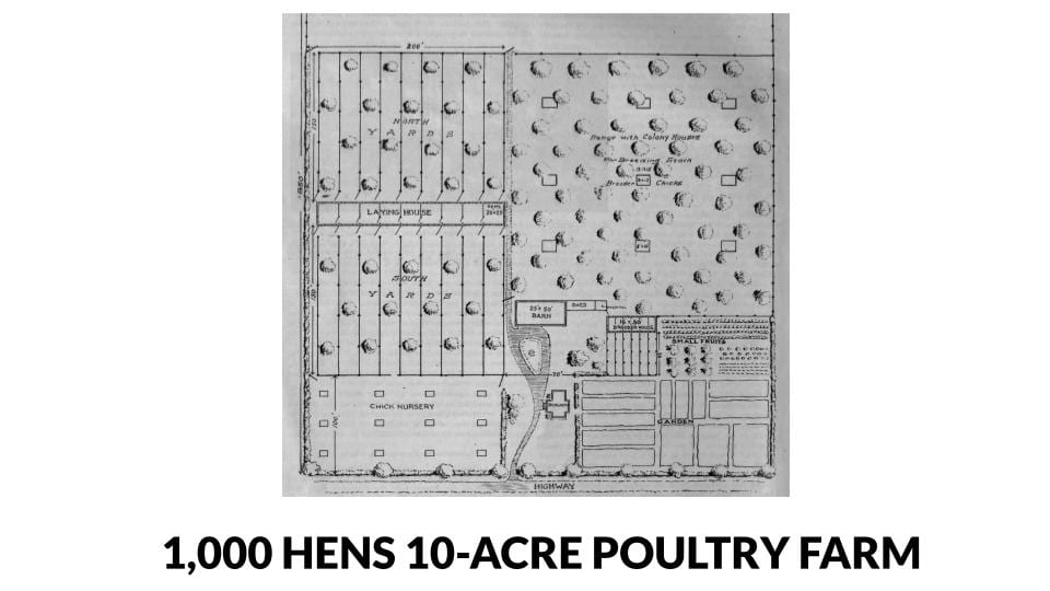 1,000 hens and 10 acre poultry farm plans