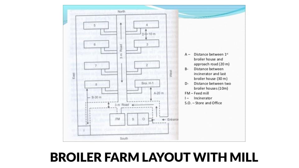 Broiler farm layout with feed mill and distances between buildings