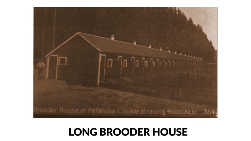 Long Brooder House