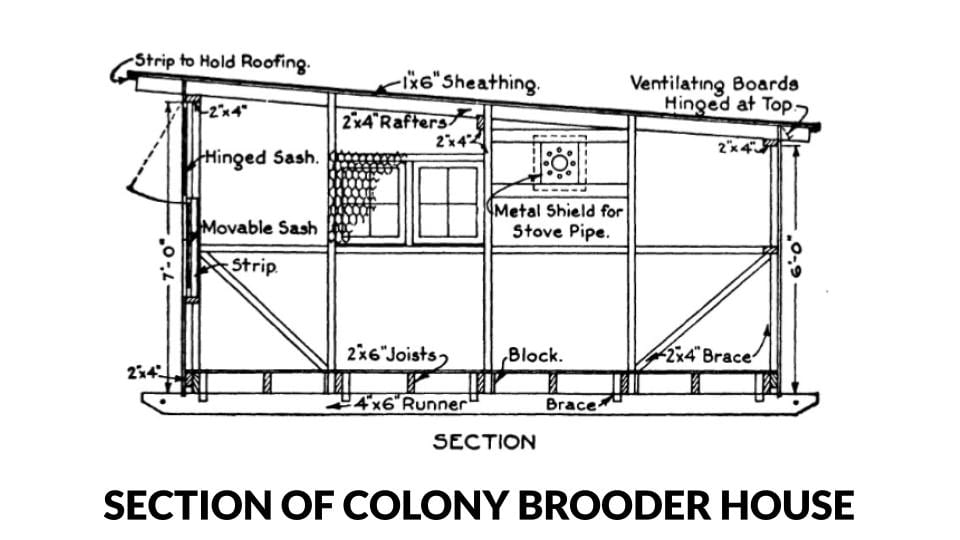 Cross Section of a Colony Brooder House 