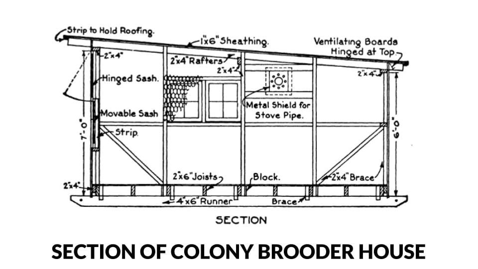 chicken house layout plans