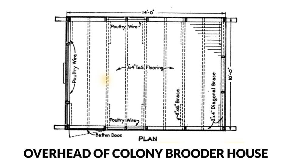 Overhead view of a colony style brooder house 