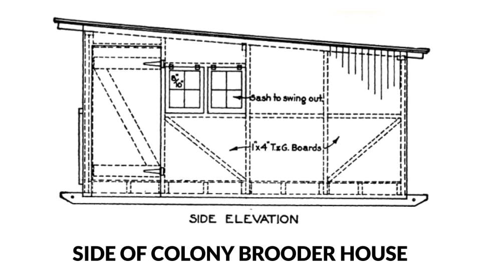 Side elevation of a colony style brooder house