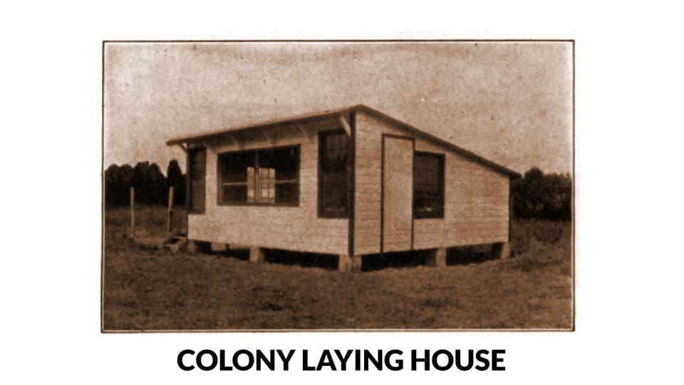 Colony Laying House Photo