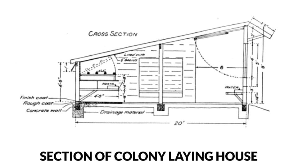 Section of a colony style laying house