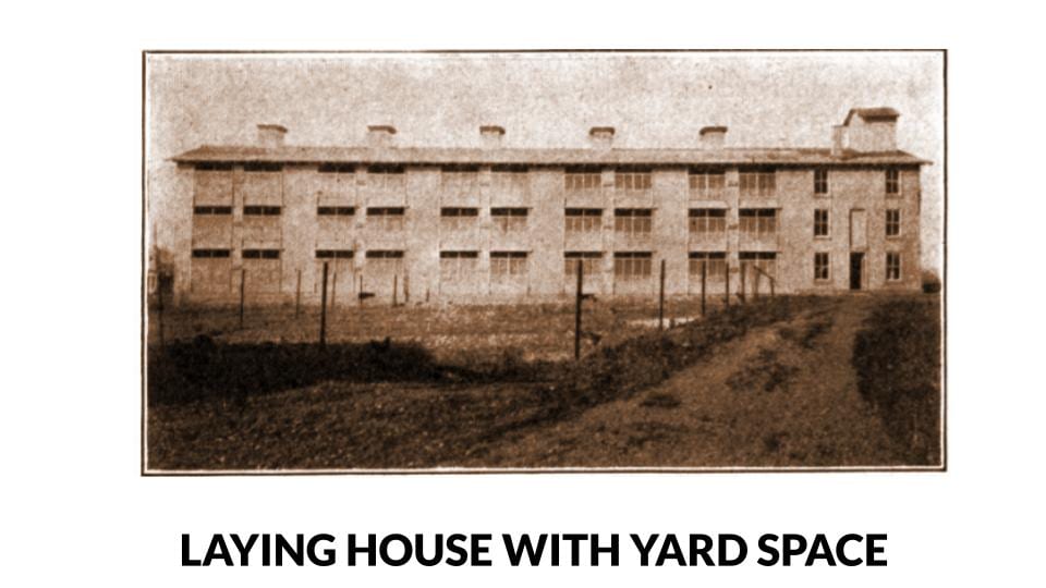 3 storey laying house with yard space